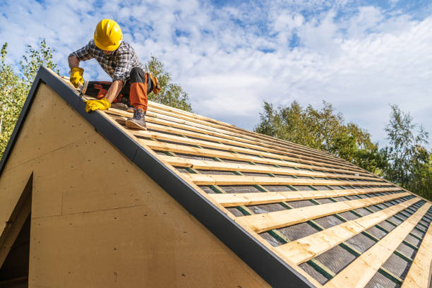Best Storm Damage Roof Repair  in Denham Springs, LA