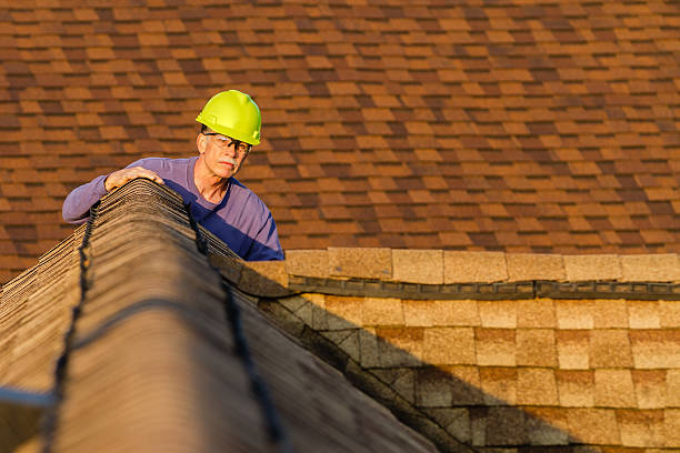 Best Gutter Installation and Roofing  in Denham Springs, LA